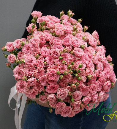 Trandafir de tufă roz /1 ramura foto 394x433